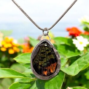 Fairy Wings Genuine Butterfly Moth Pendant Necklace Sterling Silver Chain